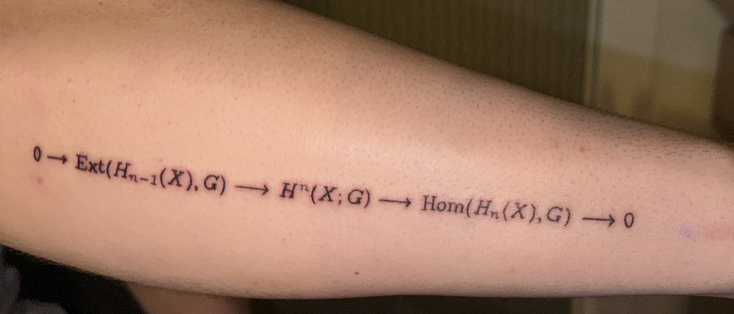 Tattoo of the Universal Coefficient Theorem